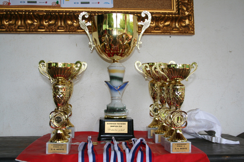hopmanov pokal 2011