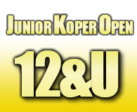 12u_link 12u_link