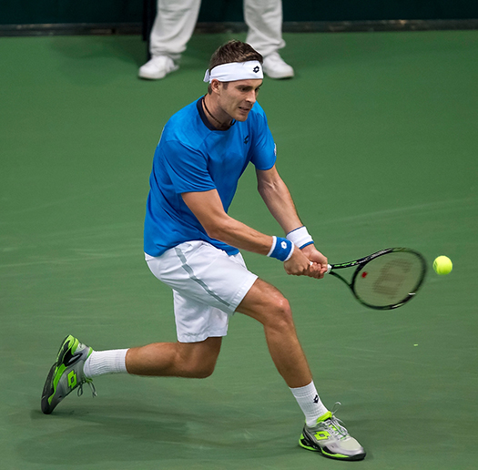 Davis cup prvi dan druga tekma2_525 Davis cup prvi dan druga tekma2_525