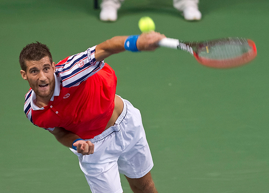 Davis cup Svk slo prvi dan2_525 Davis cup Svk slo prvi dan2_525