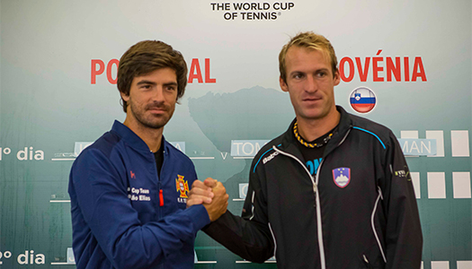 Žemlja Grega in Gastao Elias_2016_DC_525 Žemlja Grega in Gastao Elias_2016_DC_525